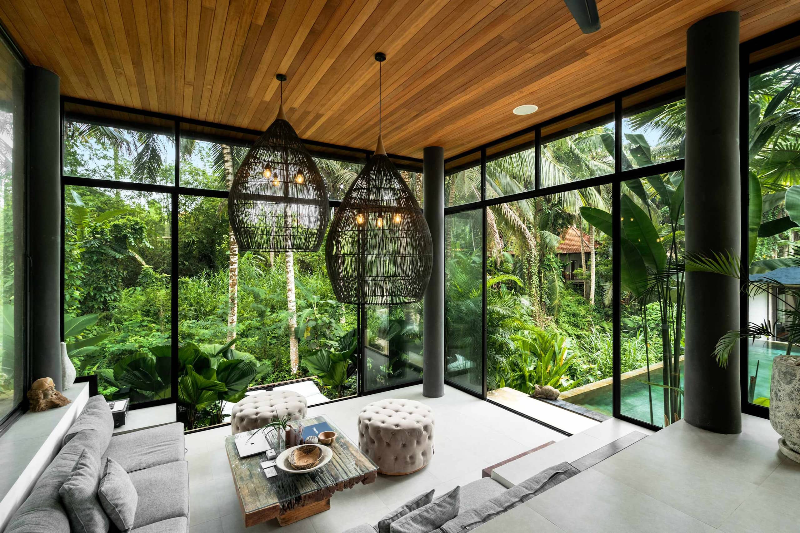 The Premium Estate — The fourth wall is jungle